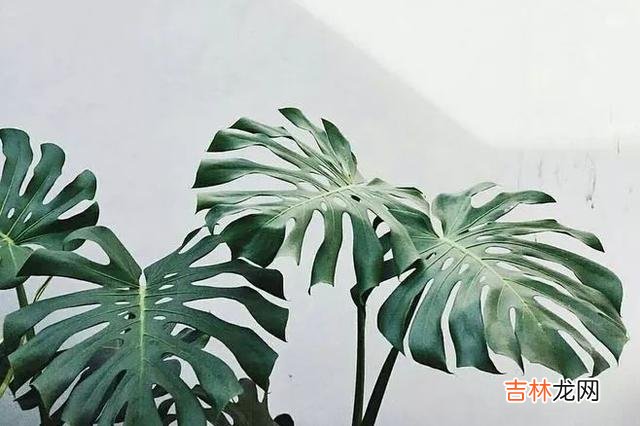 女人跟男人说这四个字,会让她充满安全感