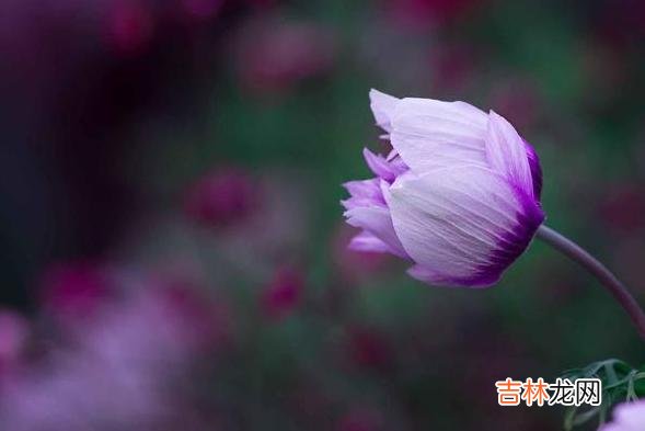 微信上发“我想念”这三个字，看看对方是什么反应，基本就知道了