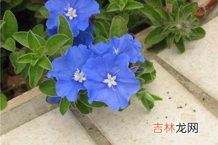 人在顺境时的友谊，有时候并不是那么牢固的