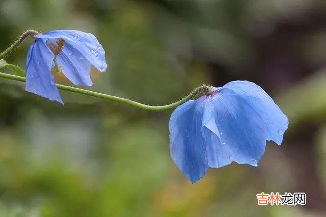 人在顺境时的友谊，有时候并不是那么牢固的