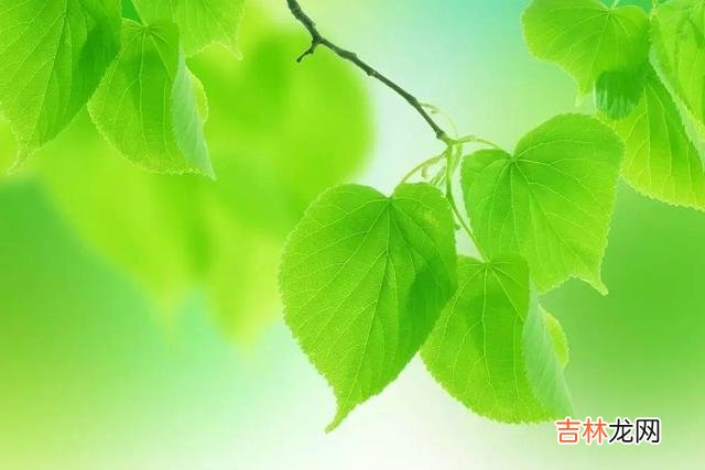不管你信不信 见不得你过得好的，往往不是外人，而是你身边的熟人