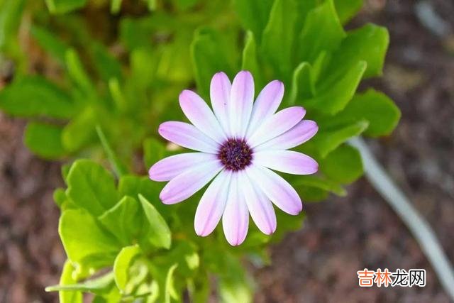 不管你信不信 见不得你过得好的，往往不是外人，而是你身边的熟人