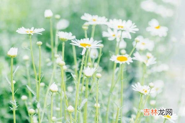 不管你信不信 见不得你过得好的，往往不是外人，而是你身边的熟人