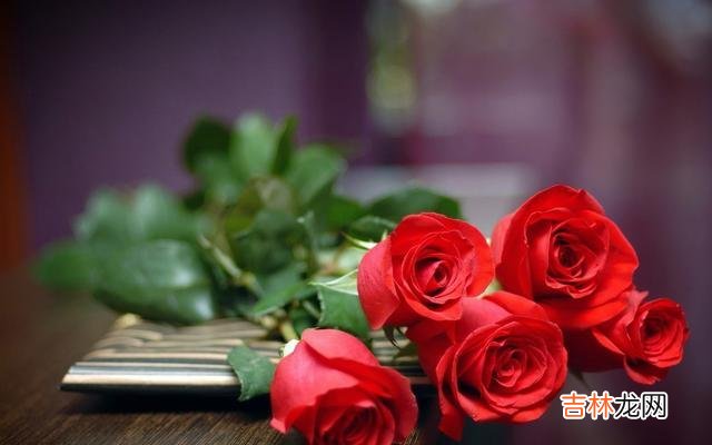 俗话说：“男追女 女人把你当成备胎，多半是把你当成了以下三种人