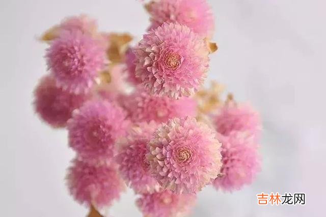 你发现了吗？现在的男人总是觉得女人太物质