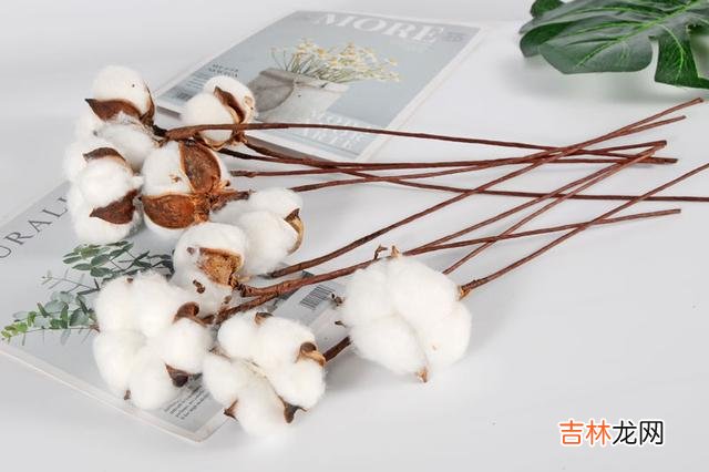 你发现了吗？现在的男人总是觉得女人太物质