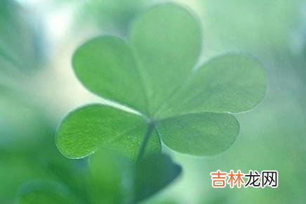 爱上一个人的感觉 如果一个男人经常跟你开这几种玩笑，那么很有可能是喜欢你