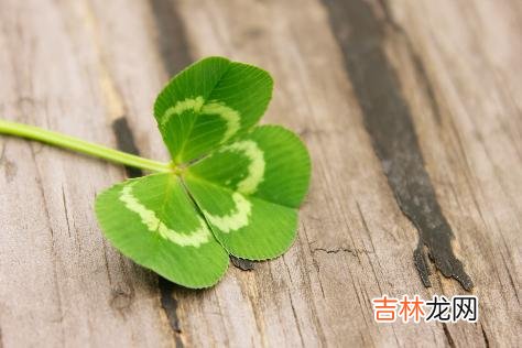 爱上一个人的感觉 如果一个男人经常跟你开这几种玩笑，那么很有可能是喜欢你