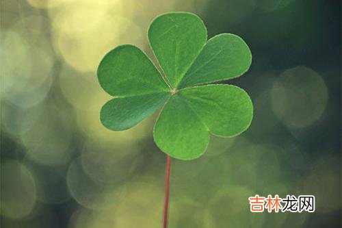 爱上一个人的感觉 如果一个男人经常跟你开这几种玩笑，那么很有可能是喜欢你