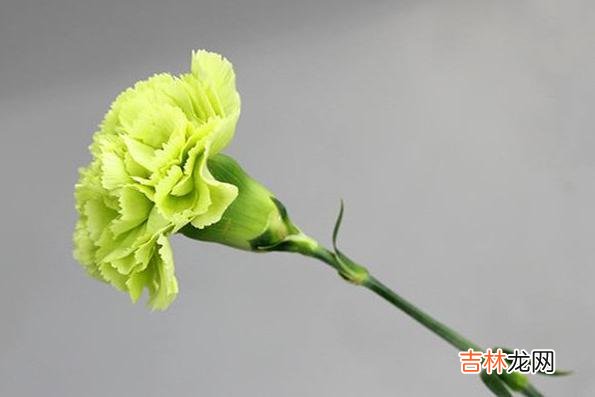 爱上一个人的感觉 如果一个男人经常跟你开这几种玩笑，那么很有可能是喜欢你