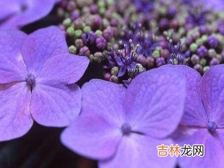 人在不同的年龄段 一个中年女人对你提出这三个要求，意味着对你动了情