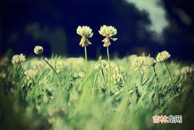 在英国作家简·奥斯汀的长篇小说《傲慢与偏见》里 女人甘愿被你撩的信号，其实就是主动