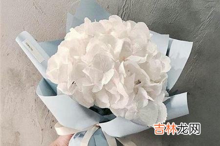 爱情可以有多种形态、表达和存在方式 真心爱你的人，可能不会给你很多承诺和誓言