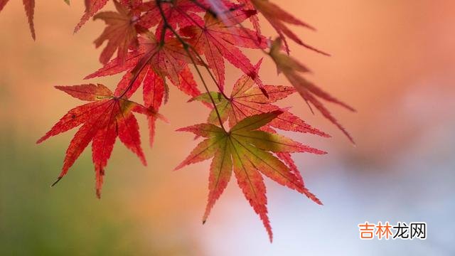 最近有一个很火的综艺节目叫《剧本鲨》 其实，要测试对方是否爱自己，只要不联系他一段时间，就知道结果