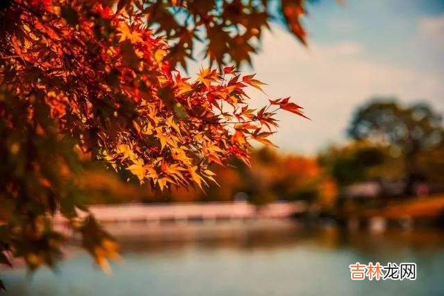 最近有一个很火的综艺节目叫《剧本鲨》 其实，要测试对方是否爱自己，只要不联系他一段时间，就知道结果