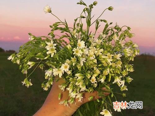 在日本作家村上春树的长篇小说《太阳以南国境以西》里 人到中年，经常梦到初恋的男人有什么样的心理，逃不过三点