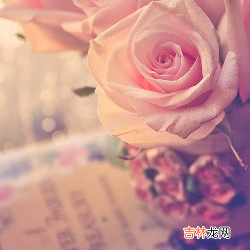 张爱玲曾经说：“每段感情开始的时候 异性朋友之间，允许你在肢体接触上越界，代表着什么？