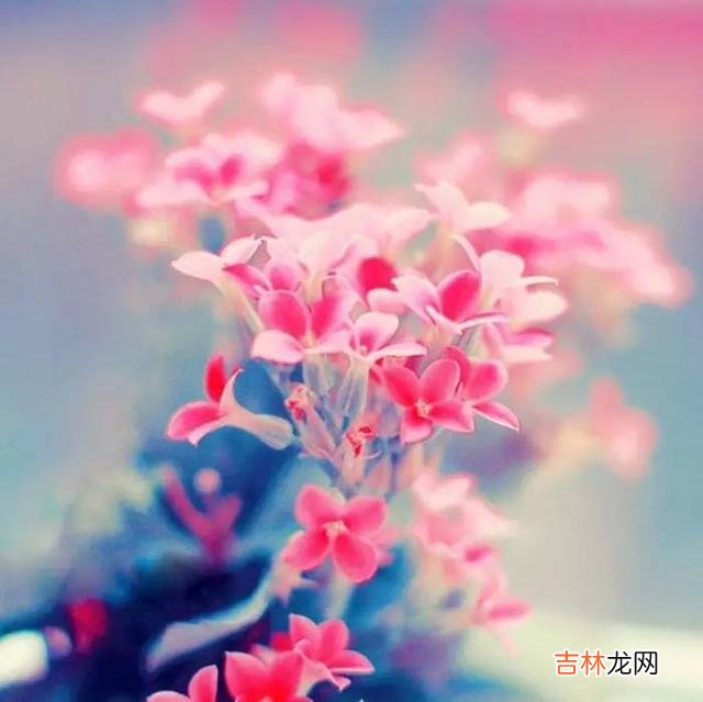 张爱玲曾经说：“每段感情开始的时候 异性朋友之间，允许你在肢体接触上越界，代表着什么？