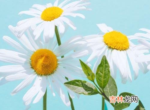 1在被背叛的痛苦面前 遭遇背叛，在感觉被伤害的关系中，被背叛的一方常会有两种反应
