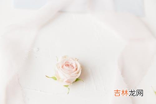 1当感情出现问题、当婚姻遇到危机时 女人能够读懂这4种智慧，婚姻危机所伤害