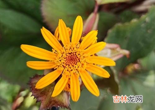 1当婚姻遭遇背叛 经历背叛，决定放弃婚姻后，被背叛者做好这三份准备