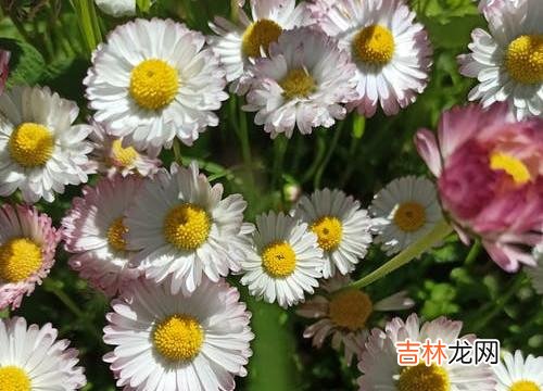 1当婚姻遭遇背叛 经历背叛，决定放弃婚姻后，被背叛者做好这三份准备