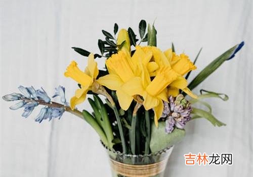 “未完成情结”的婚姻危机，会给被背叛者带来的伤害