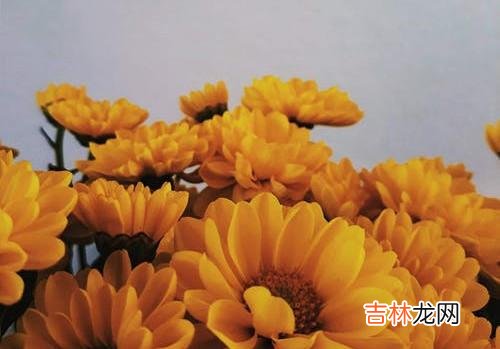 1爱是什么?我们之中有很多人在走进感情之前并没有认真地...|离婚三年,是为了他后来认为的爱背叛婚姻