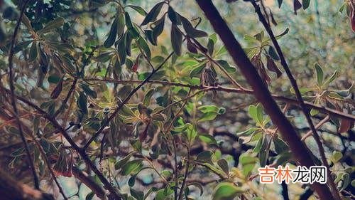 夫妻背叛婚姻没有问题的态度，夫妻关系里存在的怨言