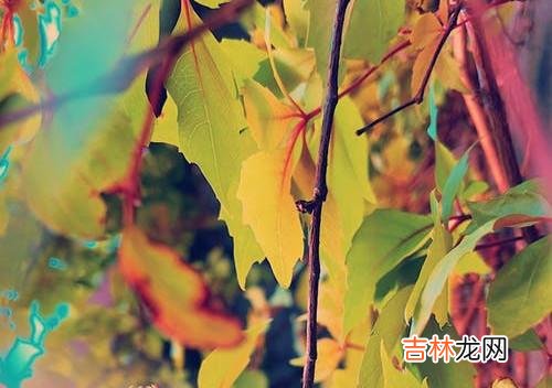 夫妻背叛婚姻没有问题的态度，夫妻关系里存在的怨言