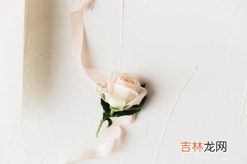 1当婚姻遇到背叛 面对伴侣的背叛,剩下的只有痛苦,还有在痛苦中隐藏的埋怨