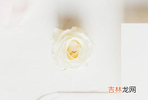 1当婚姻遇到背叛 面对伴侣的背叛,剩下的只有痛苦,还有在痛苦中隐藏的埋怨