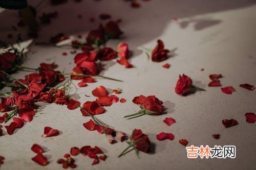 01为什么一段感情会变 婚外暧昧的人，会变成一份刺痛她的一根针