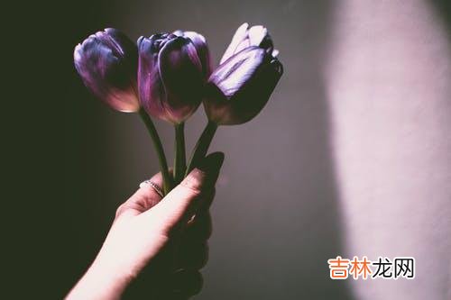 1面对婚姻的不如意 婚外感情，再热烈的婚外恋，最后都会归为平淡