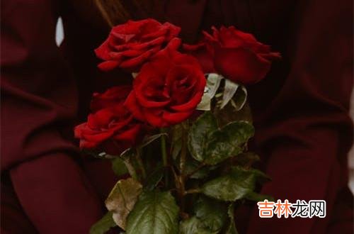 1《与内心的冲突和解》一书中说：神经症 31岁未婚，曾有过一段长达3年的爱情，很多女人想错了答案