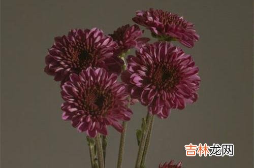 1爱一个人 再爱一个人,结婚前都要学会三种男人的爱说不,不要盲目妥协