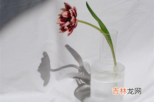 1爱一个人 再爱一个人,结婚前都要学会三种男人的爱说不,不要盲目妥协