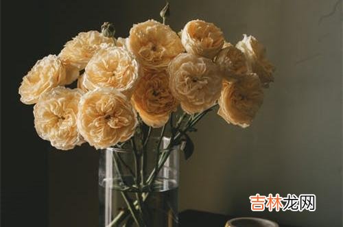 1爱一个人 再爱一个人,结婚前都要学会三种男人的爱说不,不要盲目妥协