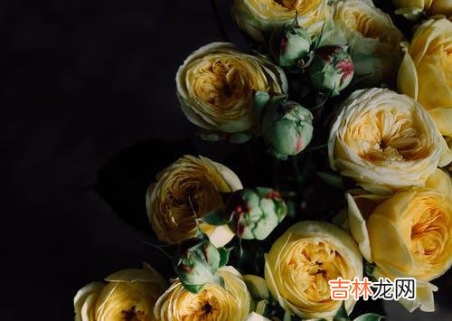 1婚姻是什么样子 背叛婚姻的人不改变，却要被背叛的一方选择原谅