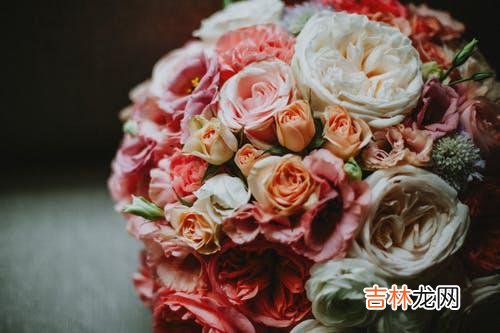 1婚姻是什么样子 背叛婚姻的人不改变，却要被背叛的一方选择原谅