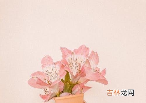 1婚姻是什么样子 背叛婚姻的人不改变，却要被背叛的一方选择原谅