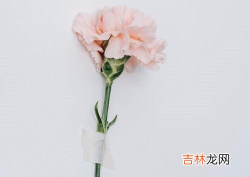 1婚姻是什么样子 背叛婚姻的人不改变，却要被背叛的一方选择原谅