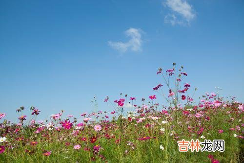 01《我的前半生》里 背叛婚姻的三种结局，每一种你都承担不起