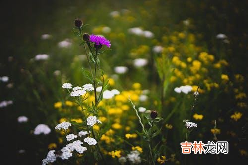 01《我的前半生》里 背叛婚姻的三种结局，每一种你都承担不起