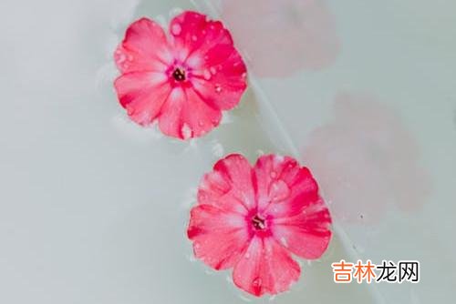 1虽然我们不愿意承认 想要摆脱被背叛的痛苦，被背叛者就要分清楚自己何时该回击背叛