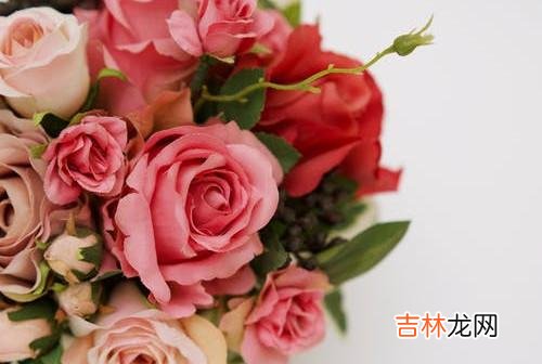 1被背叛的确很痛苦 背叛发生后，你会很容易受过去的记忆所影响，你会很痛苦