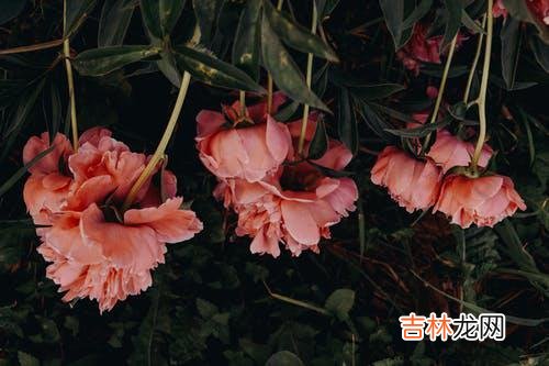 1被背叛的确很痛苦 背叛发生后，你会很容易受过去的记忆所影响，你会很痛苦