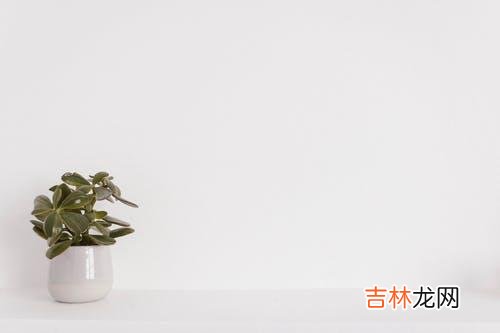 01《与内心的冲突和解》中说‘“苦难的人生”始于努力也毫无意义的想法。|遭遇背叛，你需要在你的生活中去做好三件事