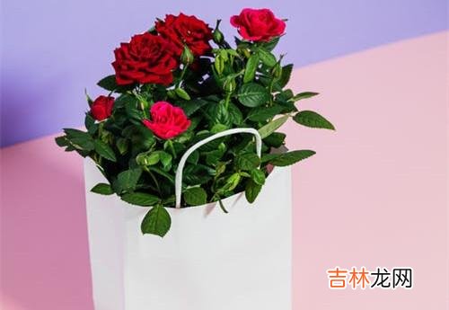 1真爱 把婚外感情当作一份可以被你“利用”的情感观念和经营