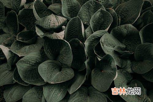 1真爱 把婚外感情当作一份可以被你“利用”的情感观念和经营